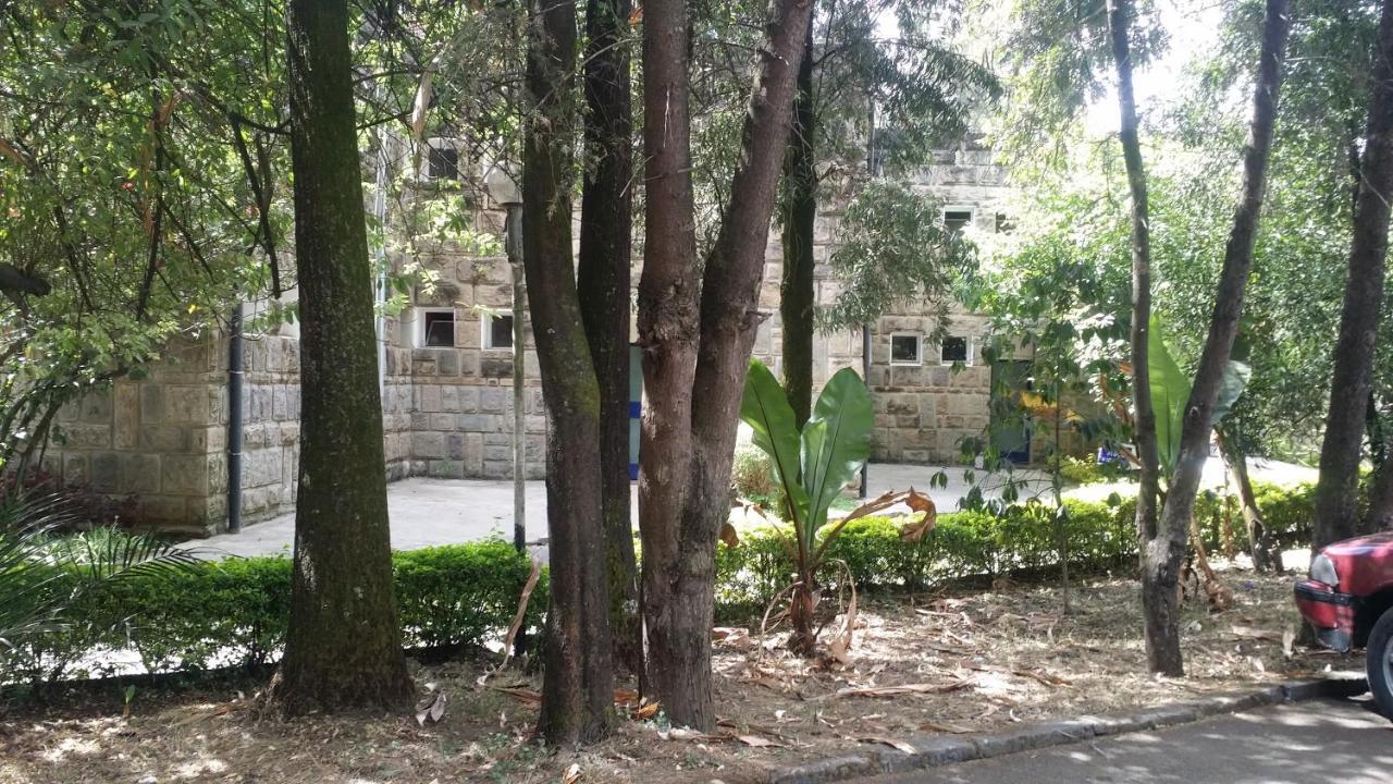 Ghion Hotel Addis Ababa Bagian luar foto