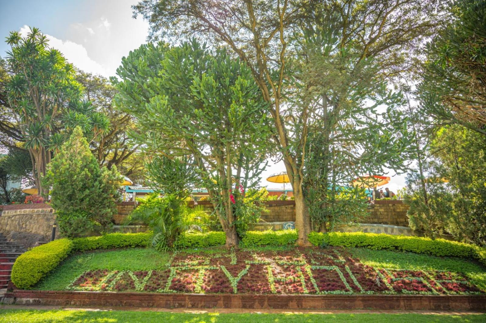 Ghion Hotel Addis Ababa Bagian luar foto