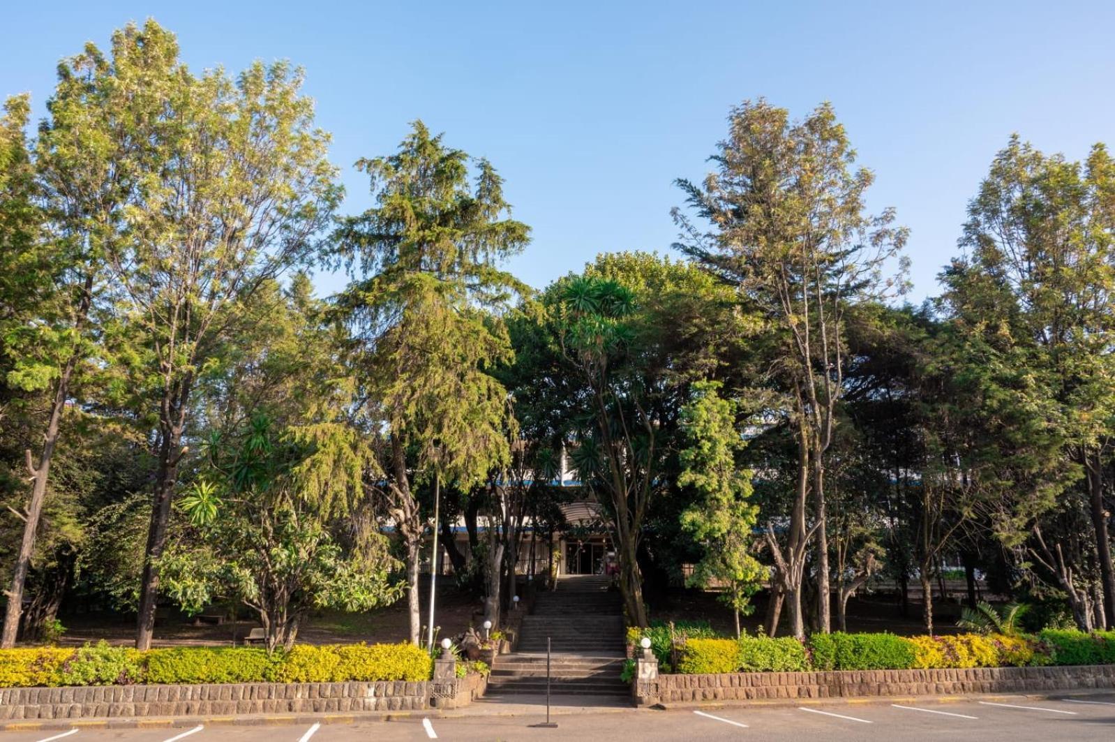 Ghion Hotel Addis Ababa Bagian luar foto